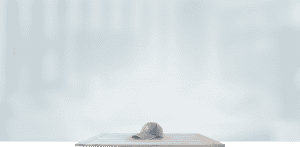 home_handyman_secion_bg_2